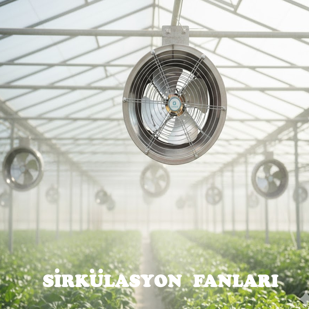 Sirkülasyon Fanları